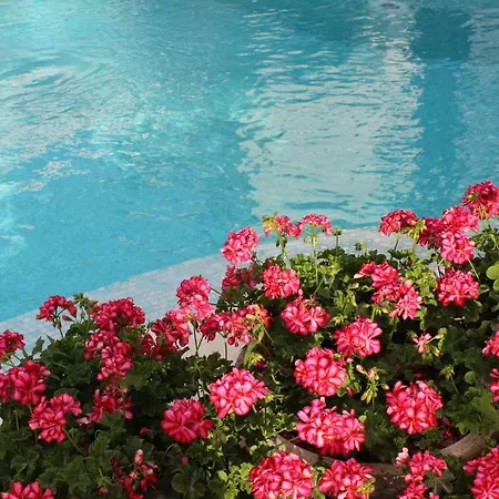 酒店 阿拉卡提利科尔哈尼姆精品酒店