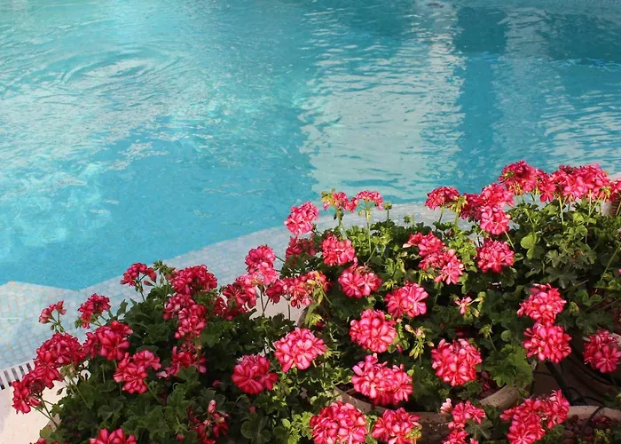 Szálloda Likor Hanim Butik